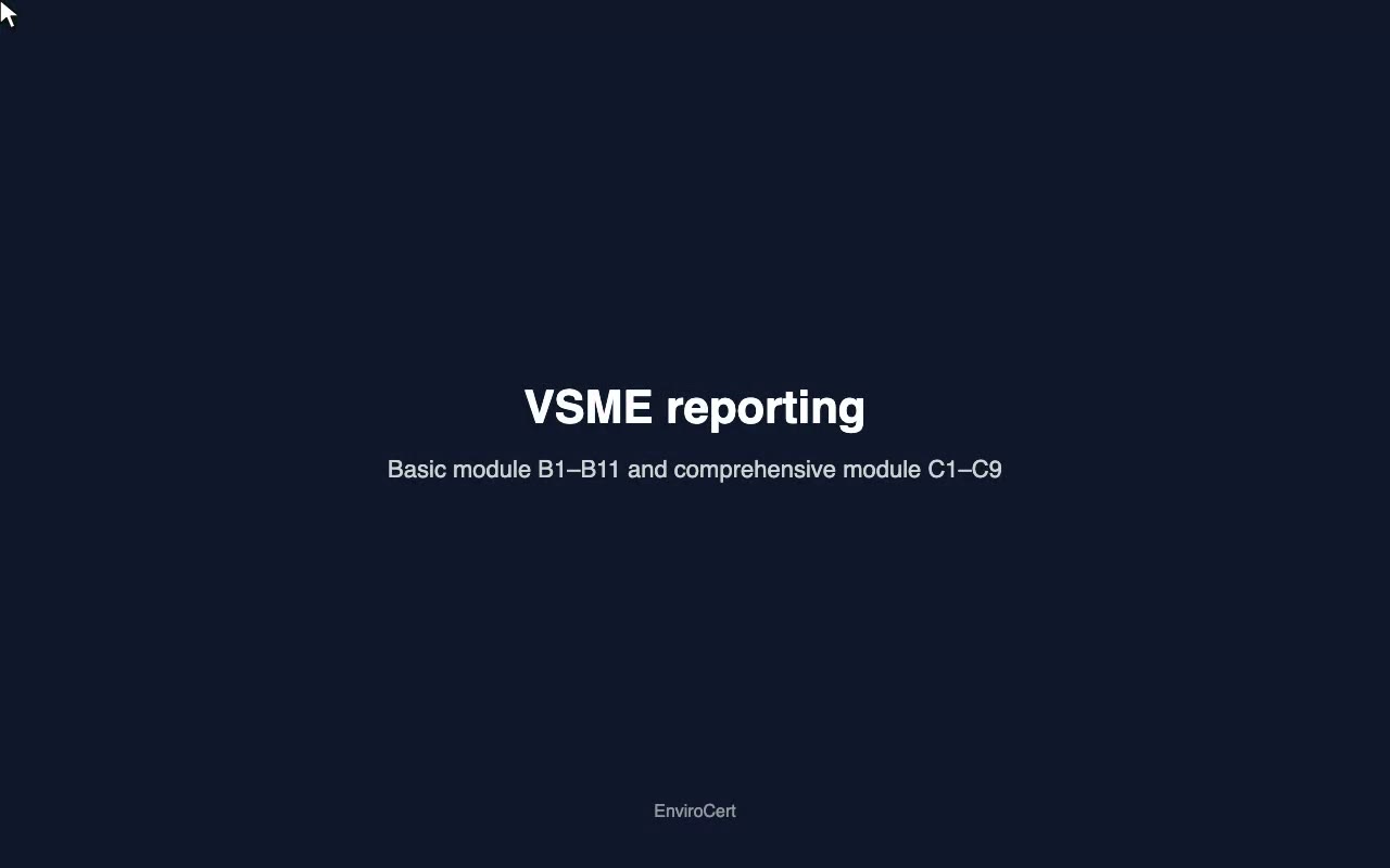VSME reporting